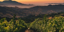 Banner image for Californian Wines: A Masterclass [VIC]