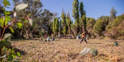 Banner image for Community Conservation Planting Day - Shearwater Spoonbill Reserve