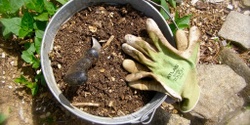 Banner image for Know Thy Soil: Practical Soils Workshop