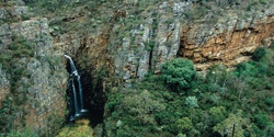 Banner image for SAIBT & CELUSA Second Falls Hike 