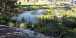 Banner image for Living streams - nature-based solutions for urban stormwater management