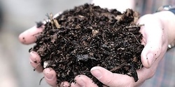 Organic Gardening Basics - Part 1 of 6: Healthy Soil