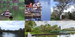 Banner image for Guided Walk through Laratinga Wetland