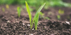Banner image for Gardening Series: Soil Building