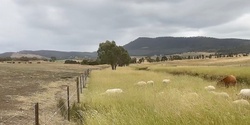 Banner image for Natural Sequence Farming FIELD DAY - Ripple Farm 2023
