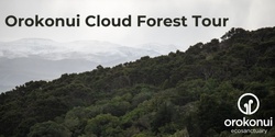 Banner image for Orokonui Cloud Forest Specialty Tour