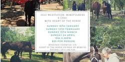 Banner image for Meditation, Mindfulness & Chai with Heart of the Horse 24th April 2022