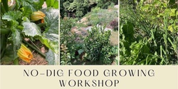 Banner image for No-Dig Food Growing Workshop