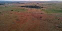 Banner image for Site Visit 2: Managing the Western Grassland Reserve