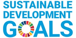 Banner image for Uncovering the Sustainable Development Goals in your school, or workplace