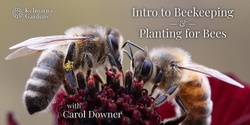 Banner image for Introduction to Beekeeping & Planting for Bees