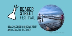 Banner image for Beachcomber Biodiversity and Coastal Ecology