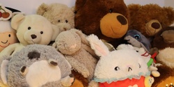 Banner image for Teddy Bear Sleepover at the Library