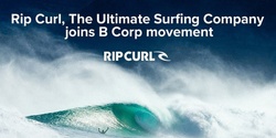 Banner image for Ripple Deep Dive - The Rip Curl Impact Story