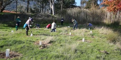 Banner image for Community Planting Day at Kergunyah Reserve