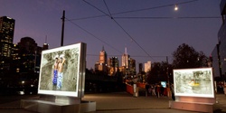 Banner image for Tour: Melbourne Arts Precinct Tour—Light Boxes at Dusk