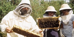 Banner image for Beginning Beekeeping course - Edendale Farm