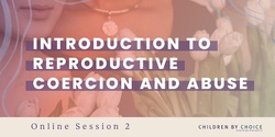 Banner image for Introduction to Violence and Reproductive Coercion and Abuse