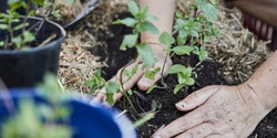 Banner image for Community Gardening Employability Skills (Term 3 2024)