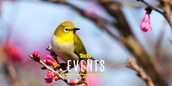 Banner image for Sony - Bird Photography Photo Walk | Melbourne (119550)