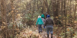 Banner image for Expedition: Tree ID and Wetland Hike 