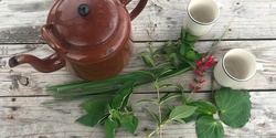 Banner image for Herbal Tea at Home
