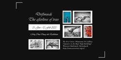 Banner image for Driftwoods - The afterlives of trees photo exhibition