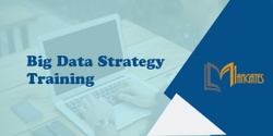 Developing and implementing a Big Data Strategy