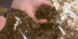 Banner image for Composting with Pete Ryan