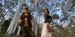 Banner image for Fiddles in the Forest @ Sinclair's Gully