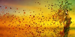Banner image for Autumn Equinox Two Day Women’s Retreat 