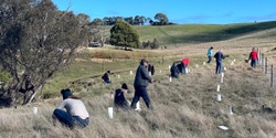 Banner image for Platypus Planting Day 2024