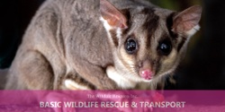 Banner image for Basic Wildlife Rescue & Transport Training