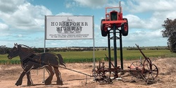Banner image for "Name the Blooms" on The Horsepower Highway