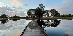 Banner image for Guided Walk - Southern half of Victoria Park / Pakapakanthi (Park 16)