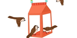 Banner image for Upcycled Bird Feeder - Hororata