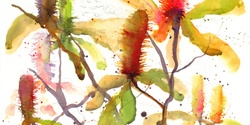 Banner image for Luscious Natives - Explorations in Watercolour and Ink