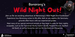 Banner image for Bonorong's Wild Night Out