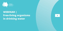 Banner image for Webinar | Free-living organisms in drinking water