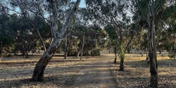 Banner image for Adelaide Park Lands Gravel Bike Ride