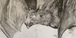 Banner image for Charcoal Drawing Workshop with Gabrielle Freer