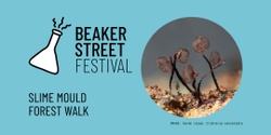 Banner image for Slime Mould Forest Walk