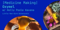 Banner image for Medicine Making: Oxymel - Holly Poole-Kavana