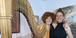 Banner image for Bach in the Dark LIVE! Cello and Harp at Mosman Art Gallery