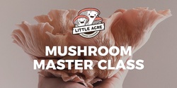 Banner image for Gourmet Mushroom Cultivation Course | Brisbane (Little Acre Mushrooms)