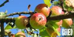Banner image for Pruning And Care Of Fruit Trees