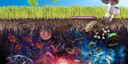 Banner image for The Universe Beneath our Feet Documentary