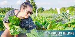 Banner image for Volunteer with Project Helping at an Organic Farm! (Ekar Farm)