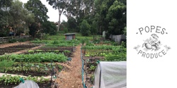 Banner image for Get Growing in Urban Food Month