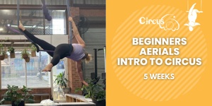 Beginners Aerials/Intro to Circus 5 Weeks - Mondays 6:30pm - 8:30pm